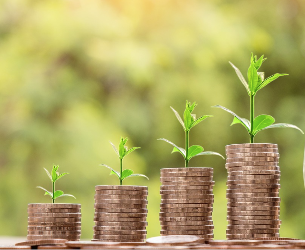 plants growing out of towers of coins